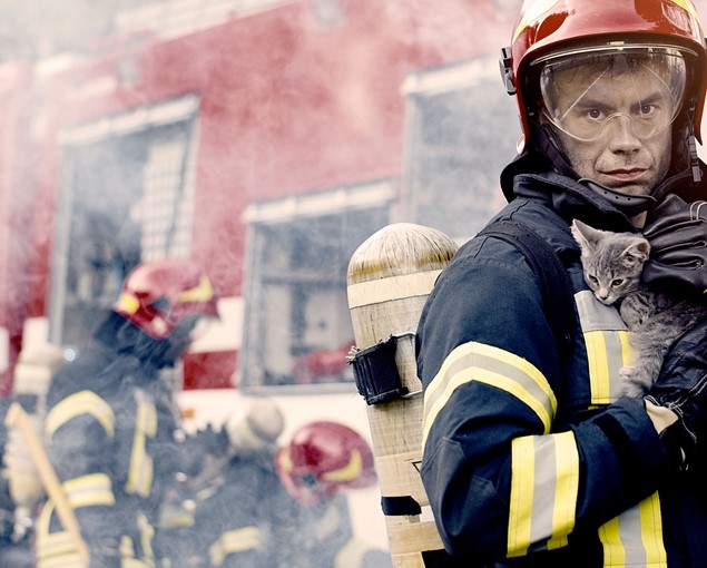FEU Firefighters With Cat